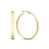 Noa Serane Ohrringe | Gold