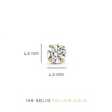 Dara Brillane Stein-Ohrringe-Set | Gold