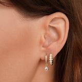 Premium Kristall-Gold-Ohrringe